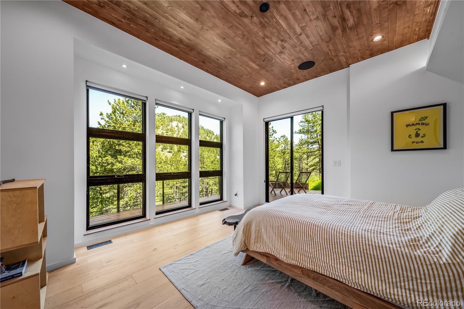 MLS Image #17 for 365  bow mountain road,boulder, Colorado