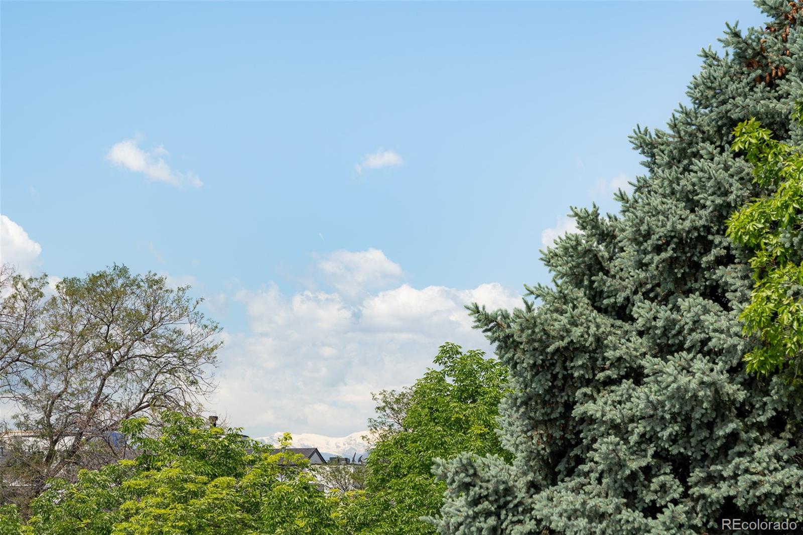 MLS Image #36 for 374  milwaukee street,denver, Colorado