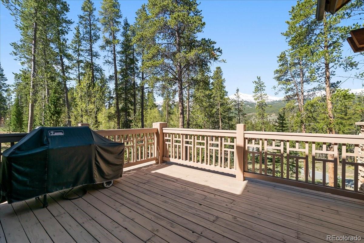 MLS Image #20 for 3  rounds road,breckenridge, Colorado