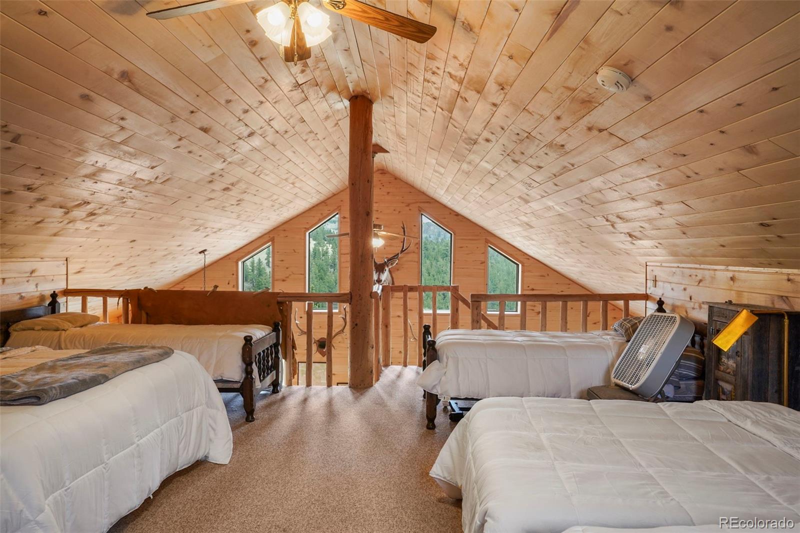 MLS Image #19 for 10801  county road m-32 ,del norte, Colorado