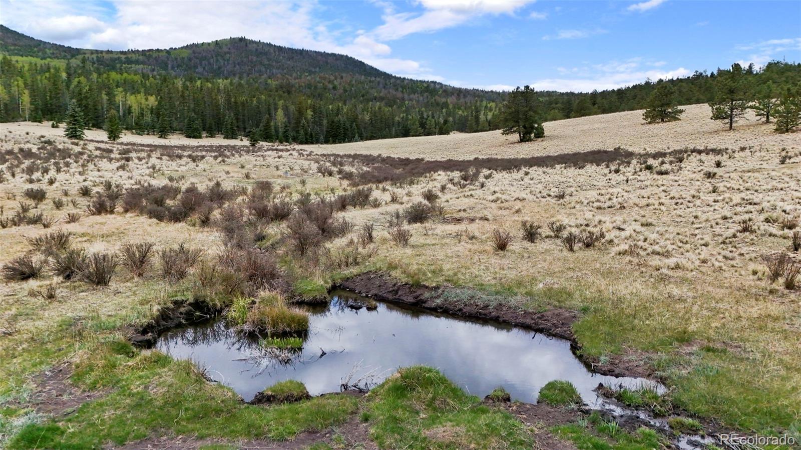 MLS Image #28 for 10801  county road m-32 ,del norte, Colorado