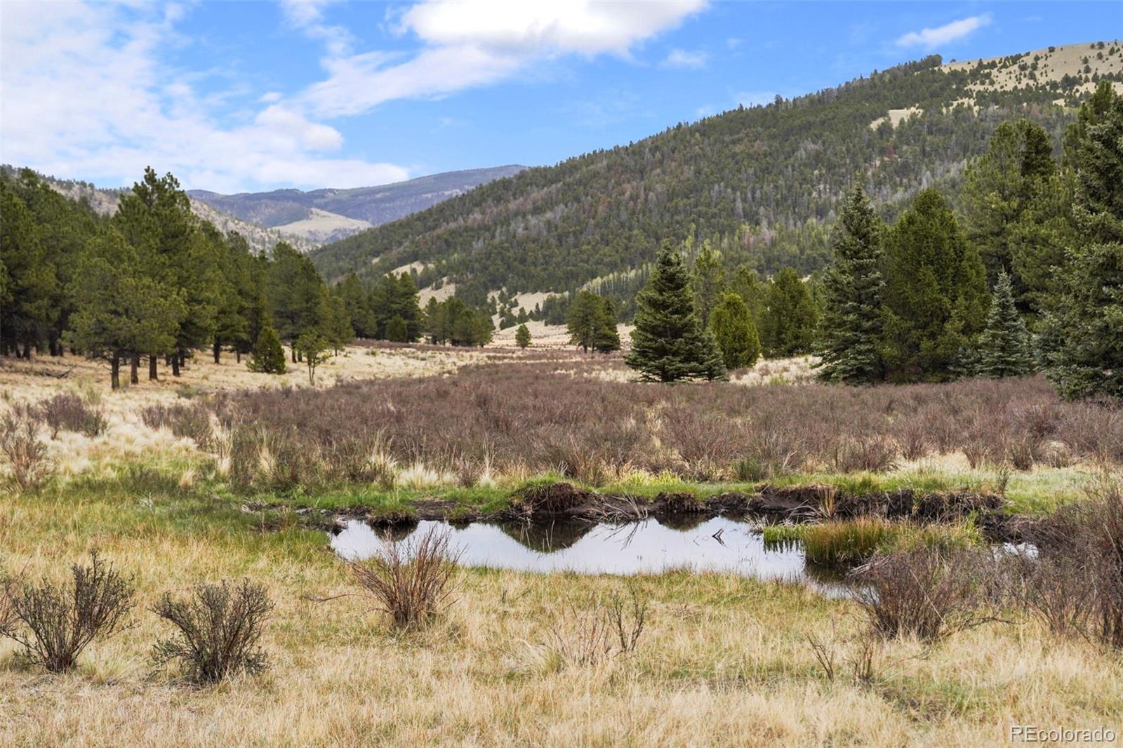 MLS Image #29 for 10801  county road m-32 ,del norte, Colorado