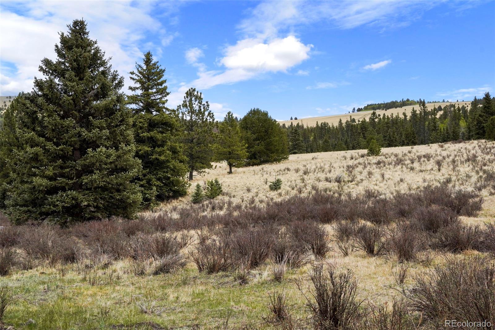 MLS Image #33 for 10801  county road m-32 ,del norte, Colorado