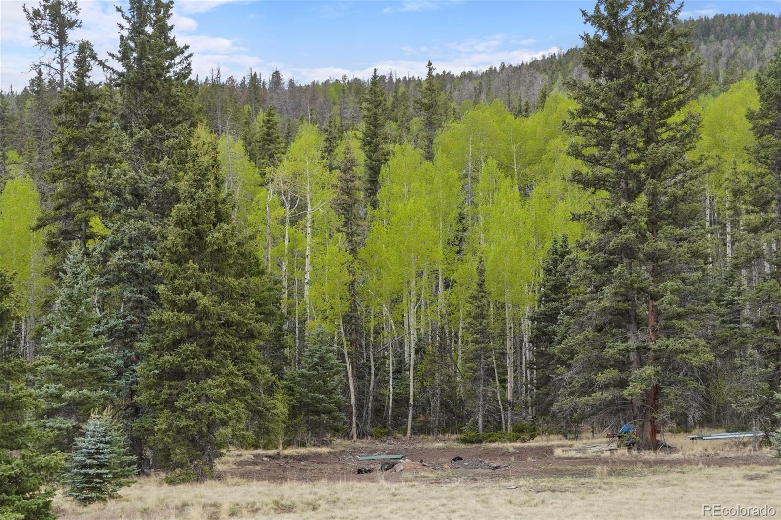 MLS Image #35 for 10801  county road m-32 ,del norte, Colorado
