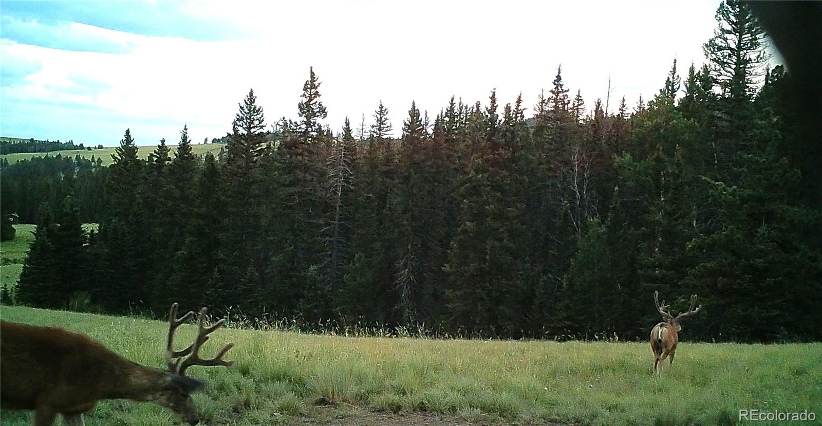 MLS Image #38 for 10801  county road m-32 ,del norte, Colorado
