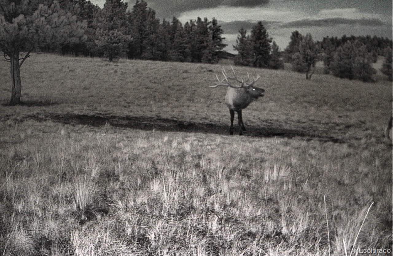 MLS Image #39 for 10801  county road m-32 ,del norte, Colorado
