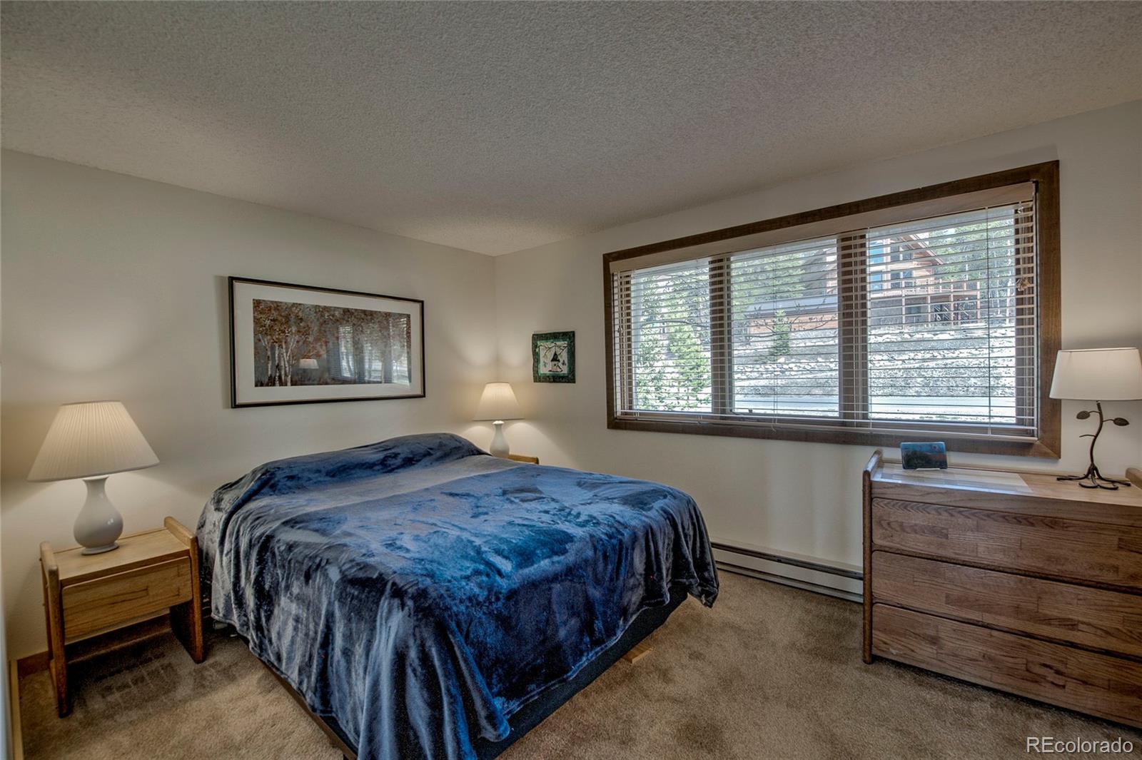 MLS Image #11 for 187 n fuller placer road,breckenridge, Colorado