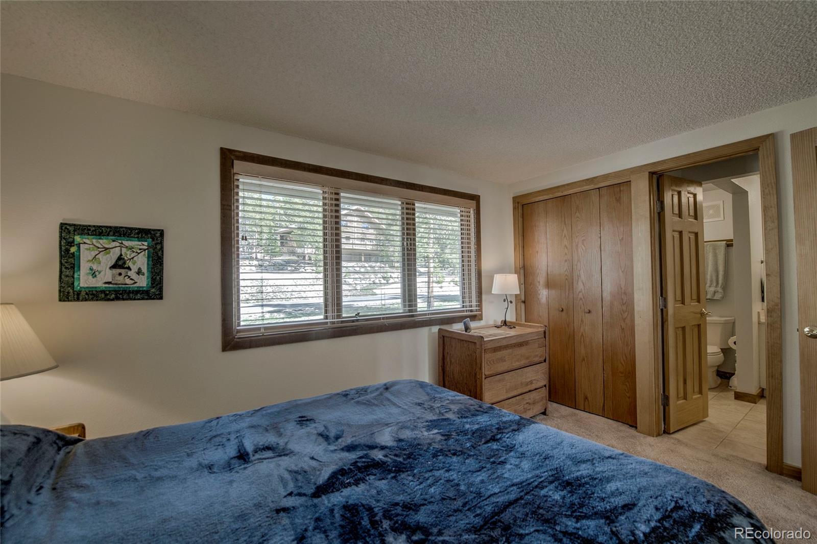 MLS Image #12 for 187 n fuller placer road,breckenridge, Colorado