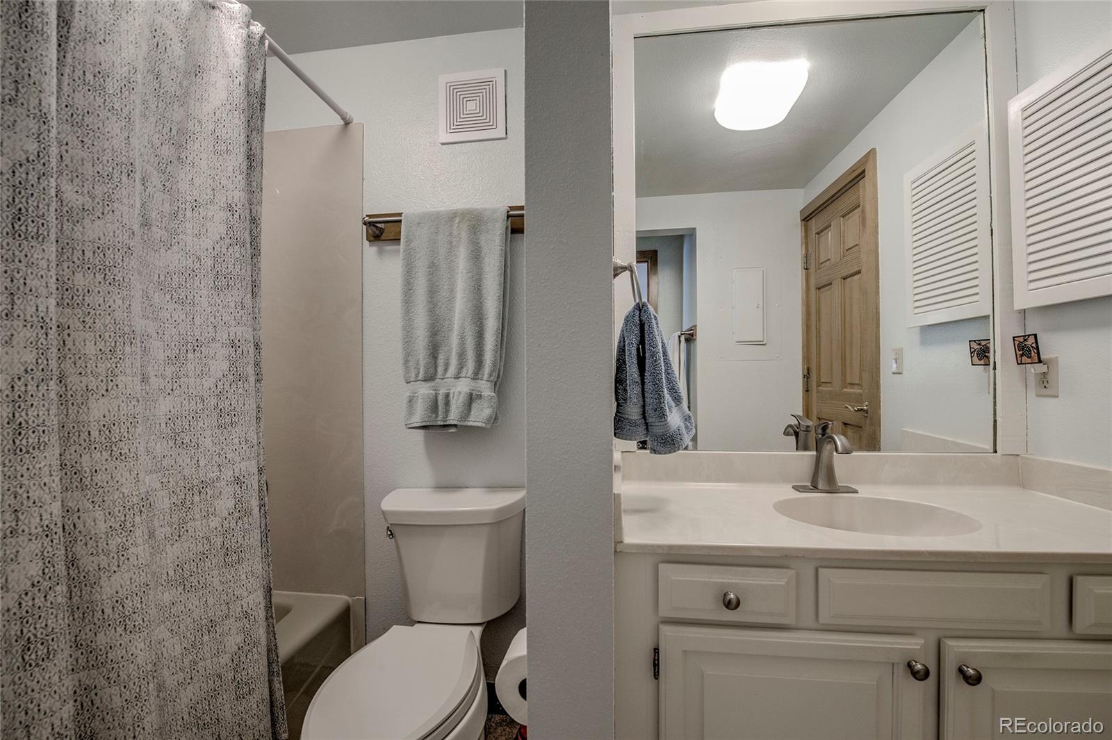 MLS Image #14 for 187 n fuller placer road,breckenridge, Colorado