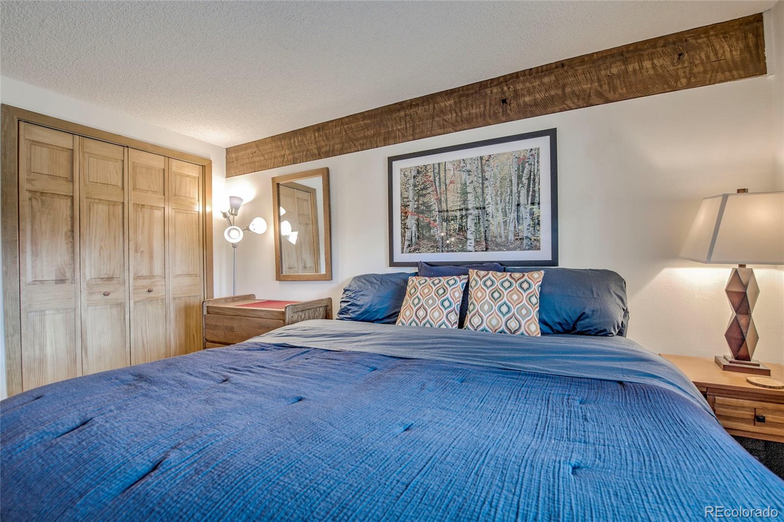 MLS Image #18 for 187 n fuller placer road,breckenridge, Colorado