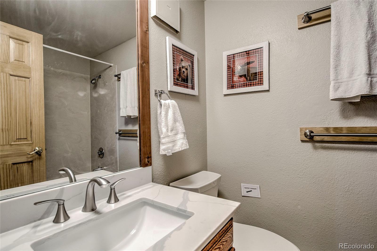 MLS Image #19 for 187 n fuller placer road,breckenridge, Colorado