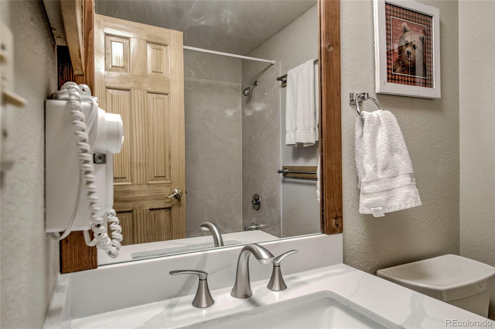 MLS Image #20 for 187 n fuller placer road,breckenridge, Colorado