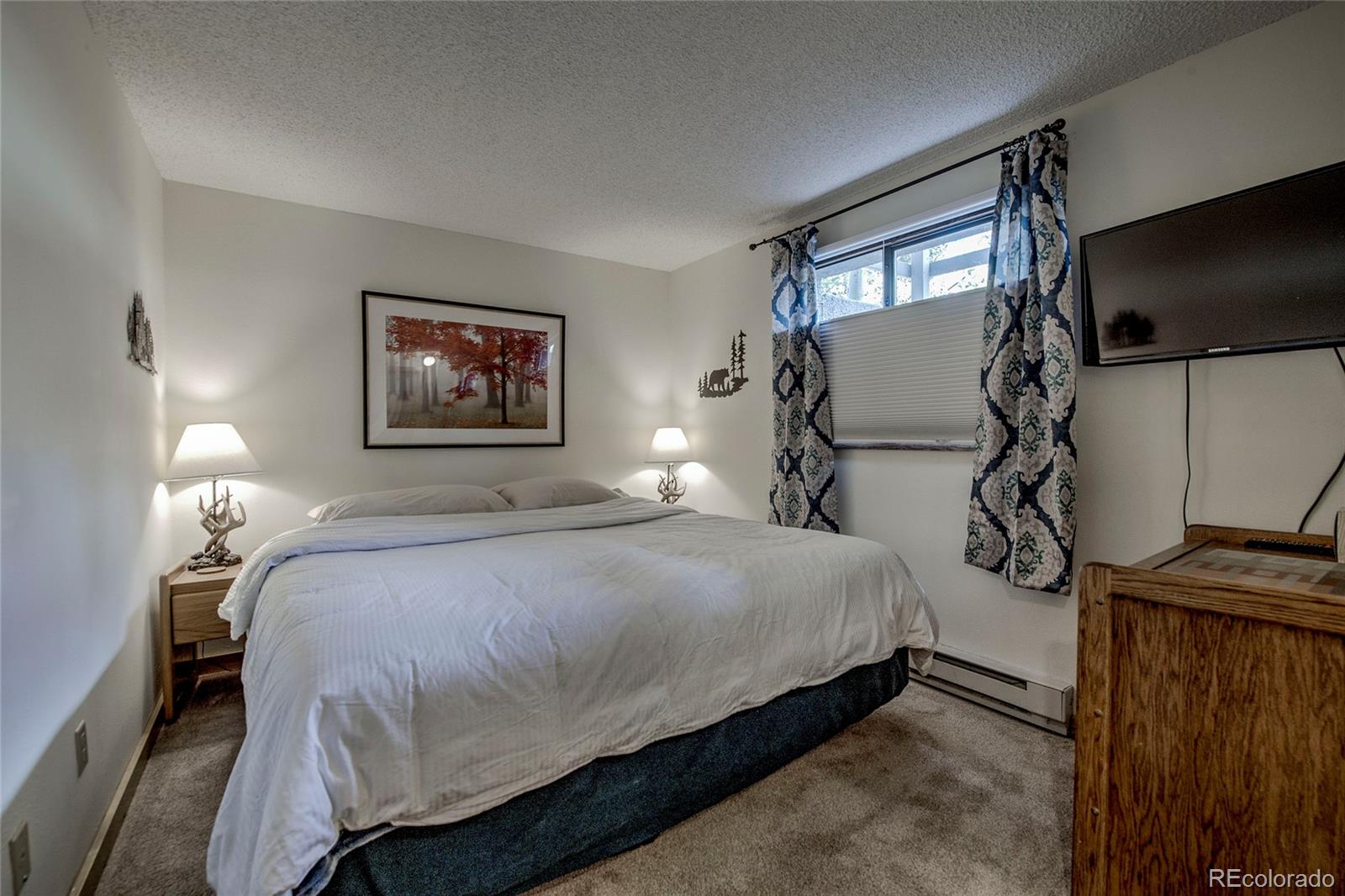 MLS Image #22 for 187 n fuller placer road,breckenridge, Colorado