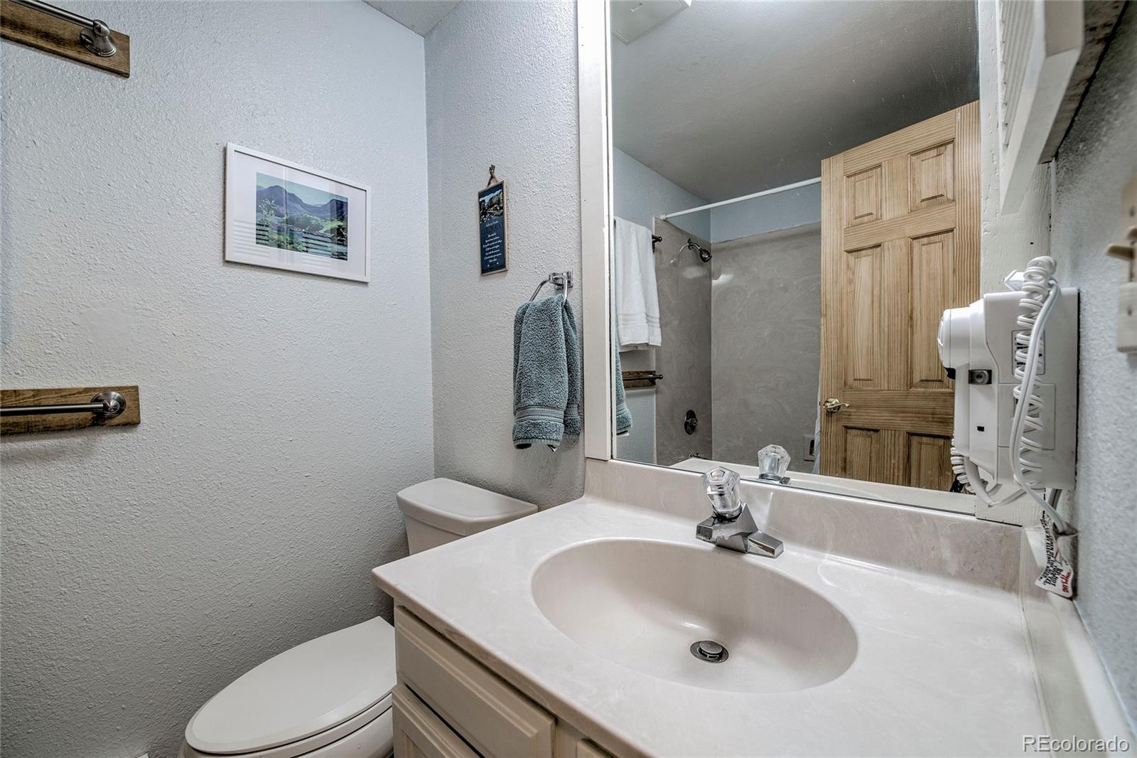 MLS Image #25 for 187 n fuller placer road,breckenridge, Colorado