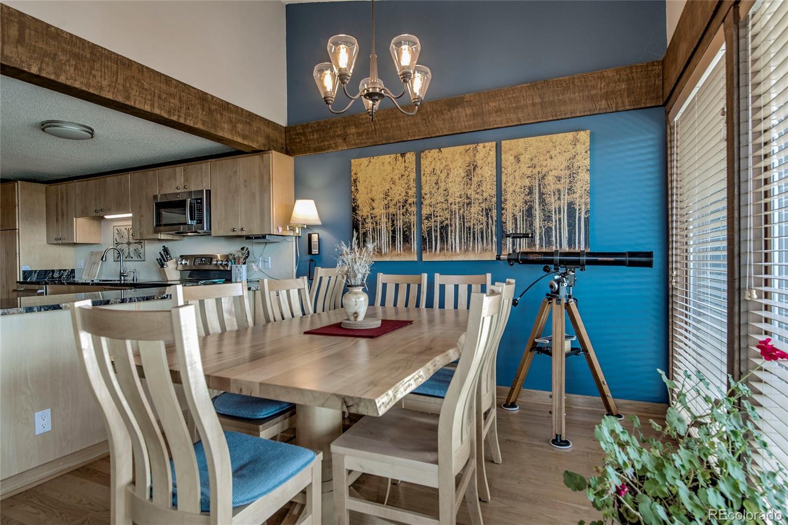 MLS Image #5 for 187 n fuller placer road,breckenridge, Colorado