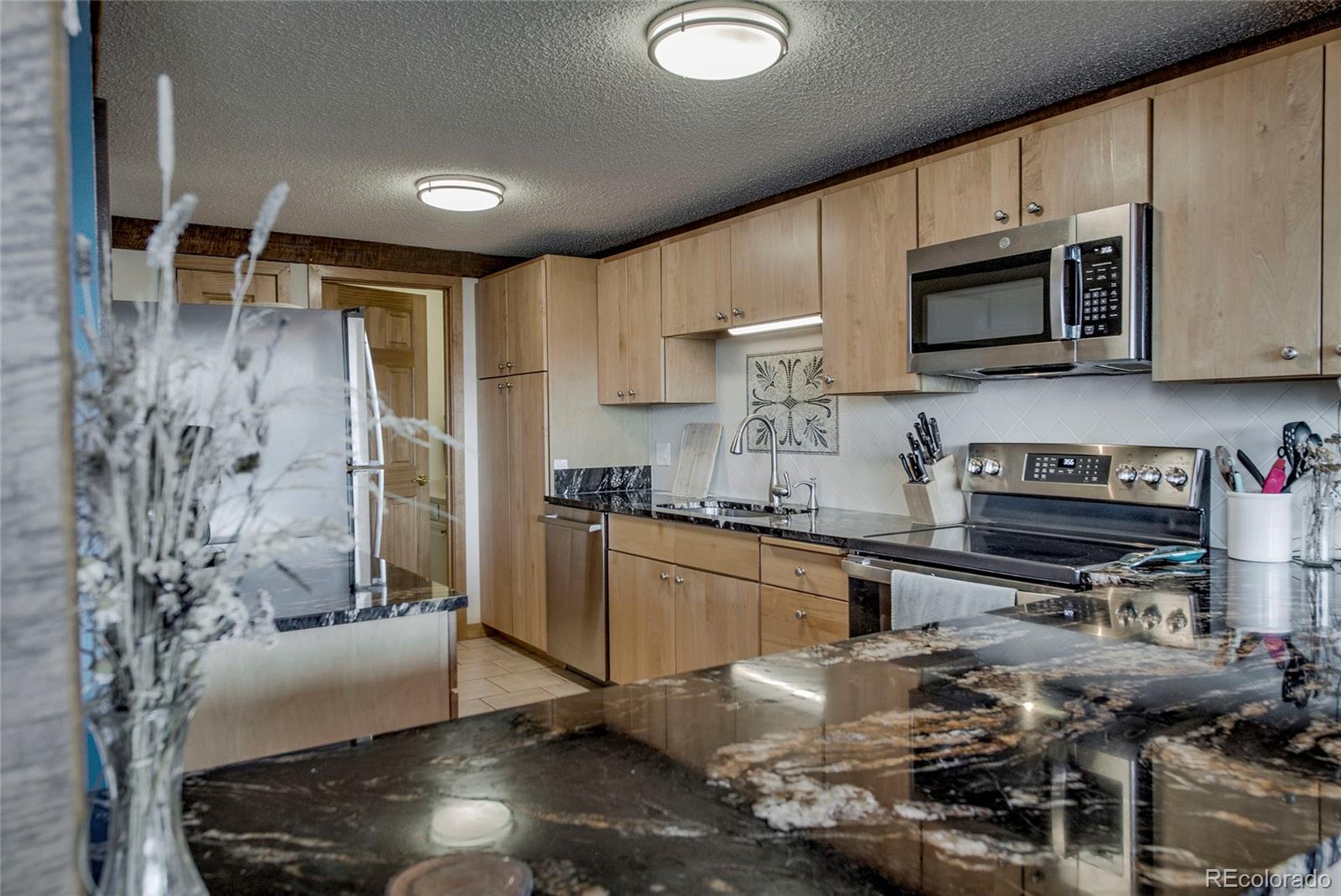 MLS Image #6 for 187 n fuller placer road,breckenridge, Colorado