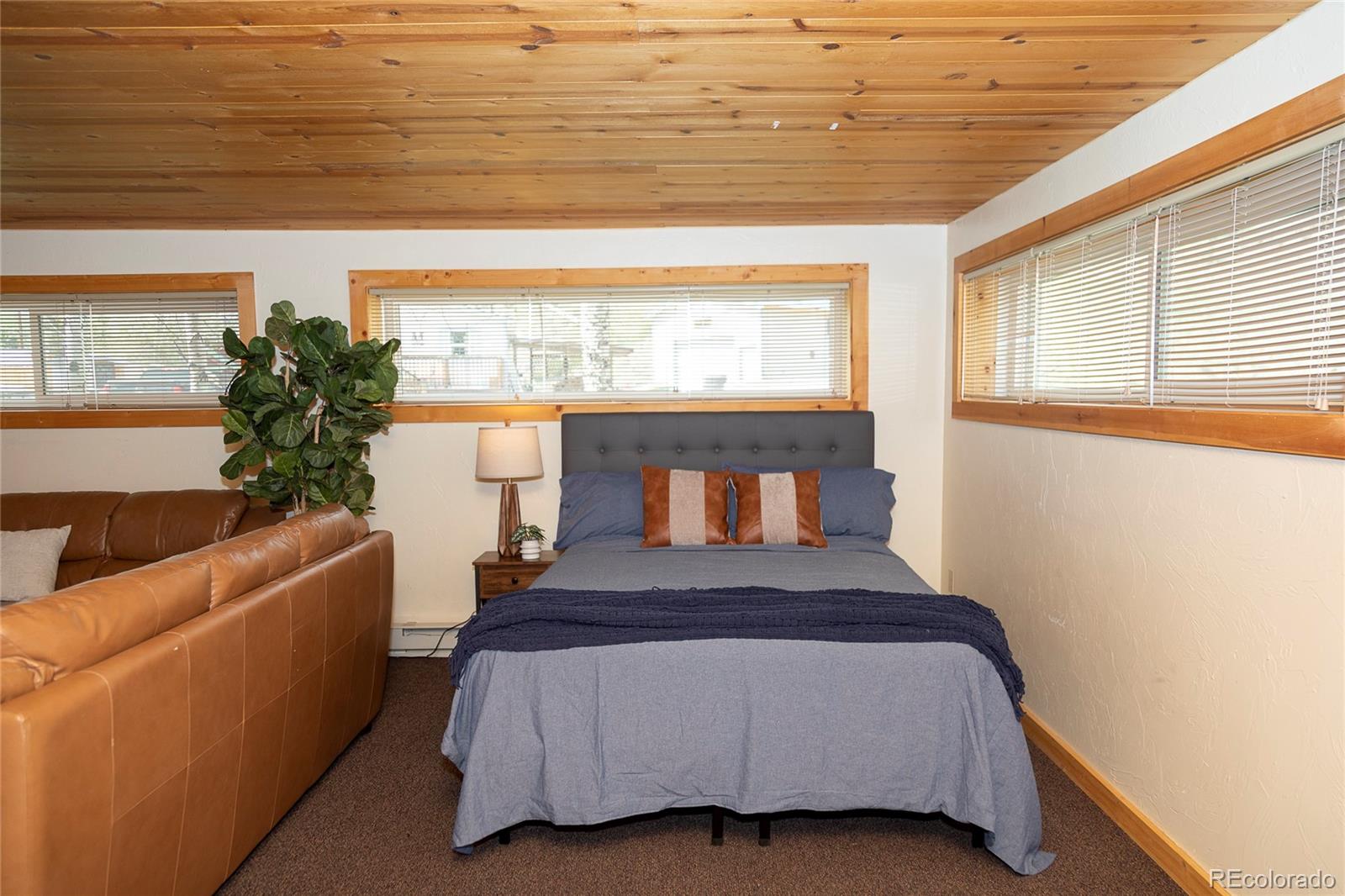 MLS Image #12 for 1010  la garita street,creede, Colorado