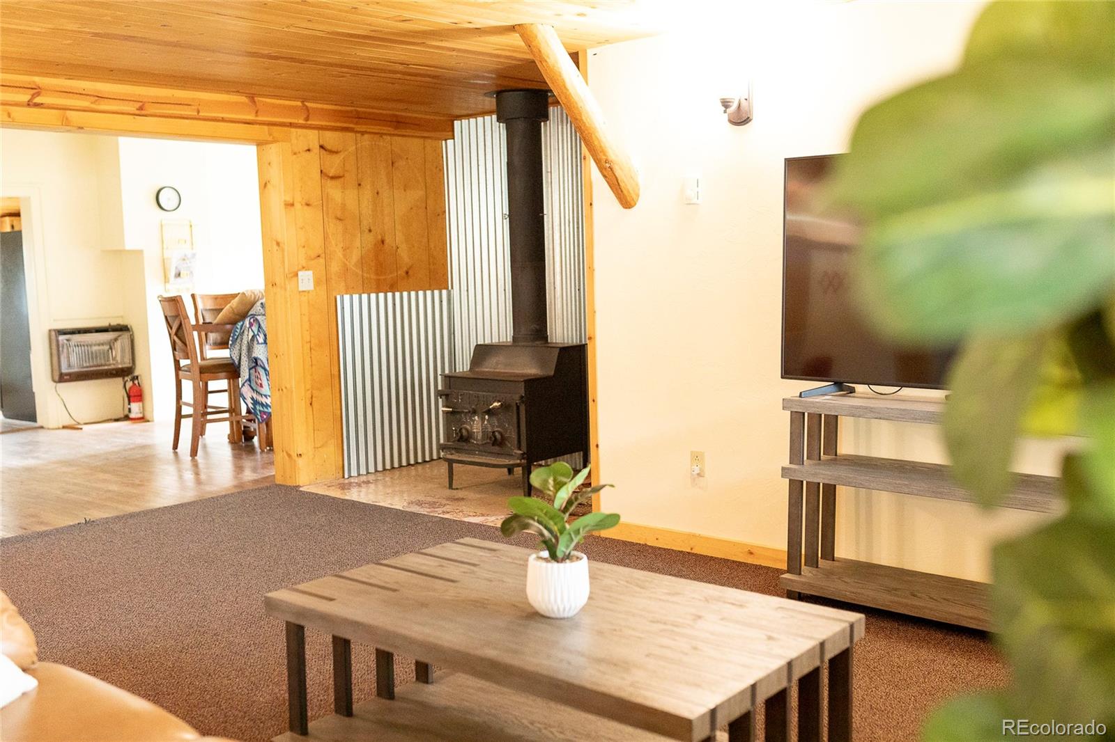 MLS Image #15 for 1010  la garita street,creede, Colorado