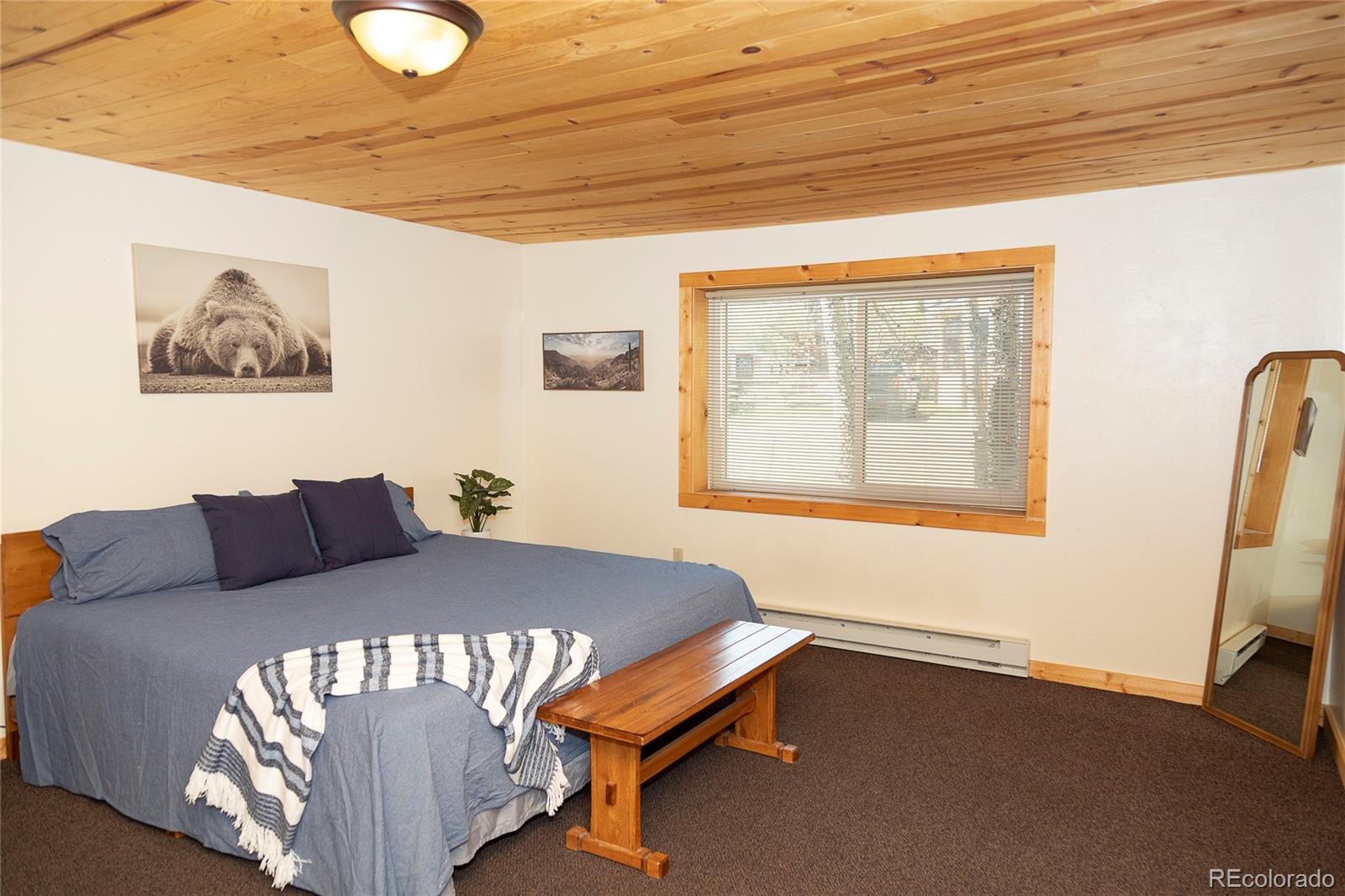 MLS Image #3 for 1010  la garita street,creede, Colorado