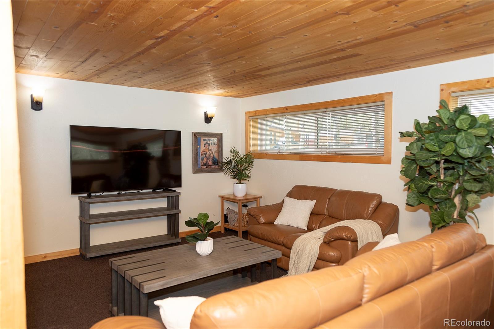 MLS Image #4 for 1010  la garita street,creede, Colorado