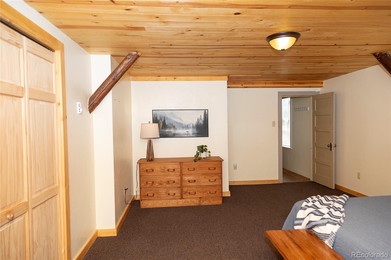 MLS Image #5 for 1010  la garita street,creede, Colorado