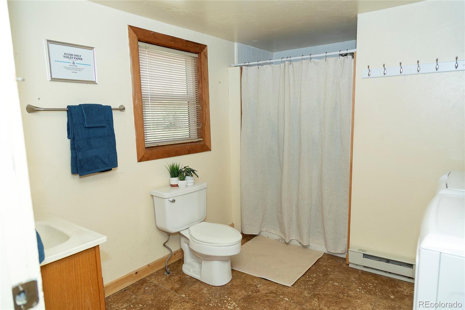 MLS Image #6 for 1010  la garita street,creede, Colorado