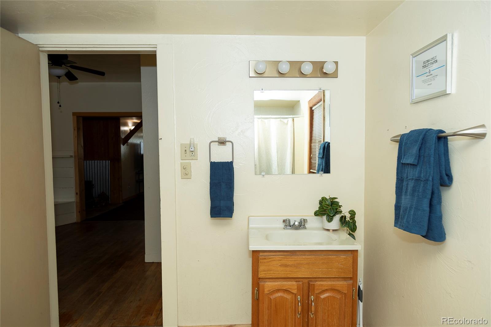 MLS Image #7 for 1010  la garita street,creede, Colorado