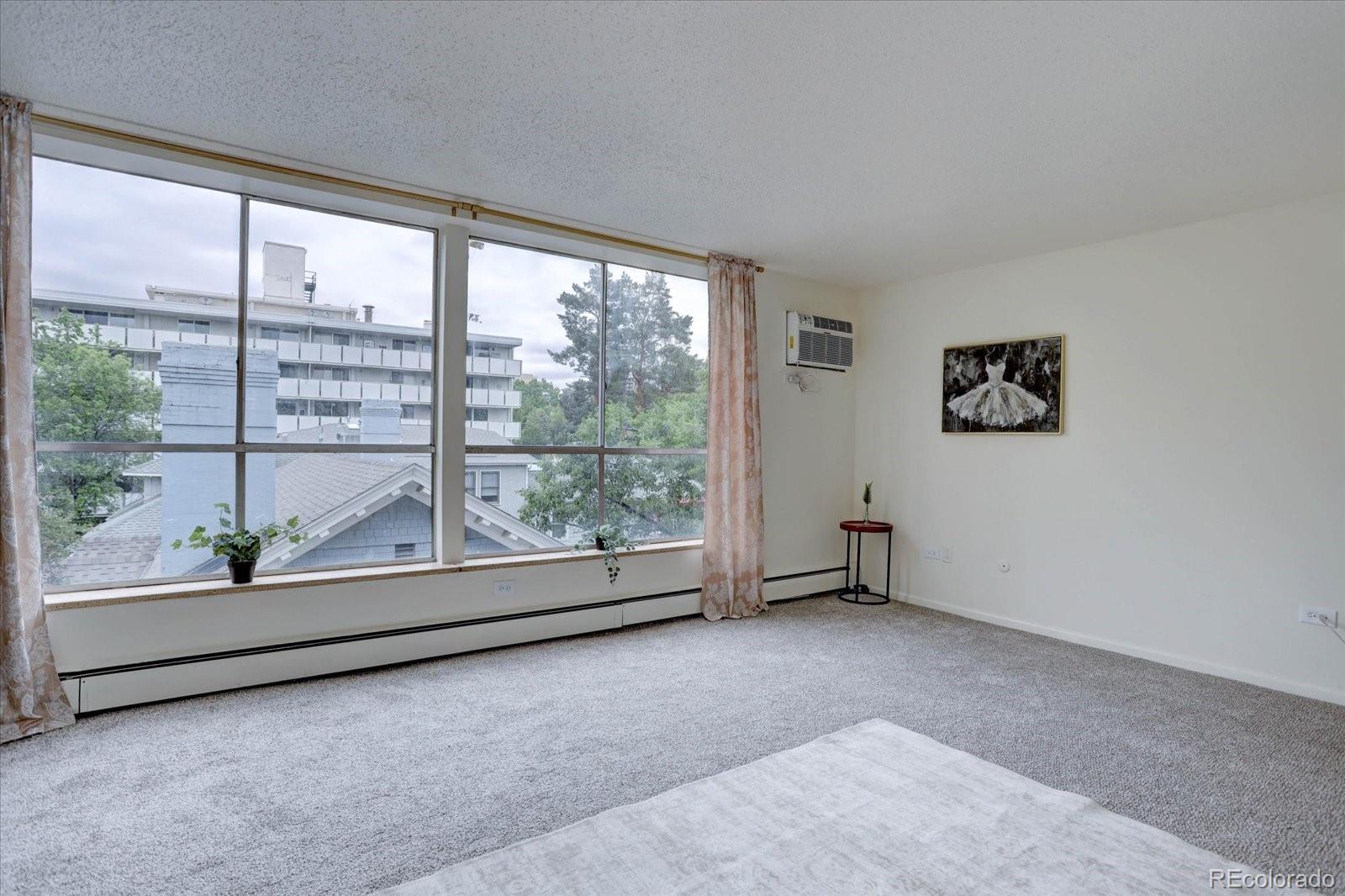 MLS Image #11 for 1050 n lafayette street,denver, Colorado