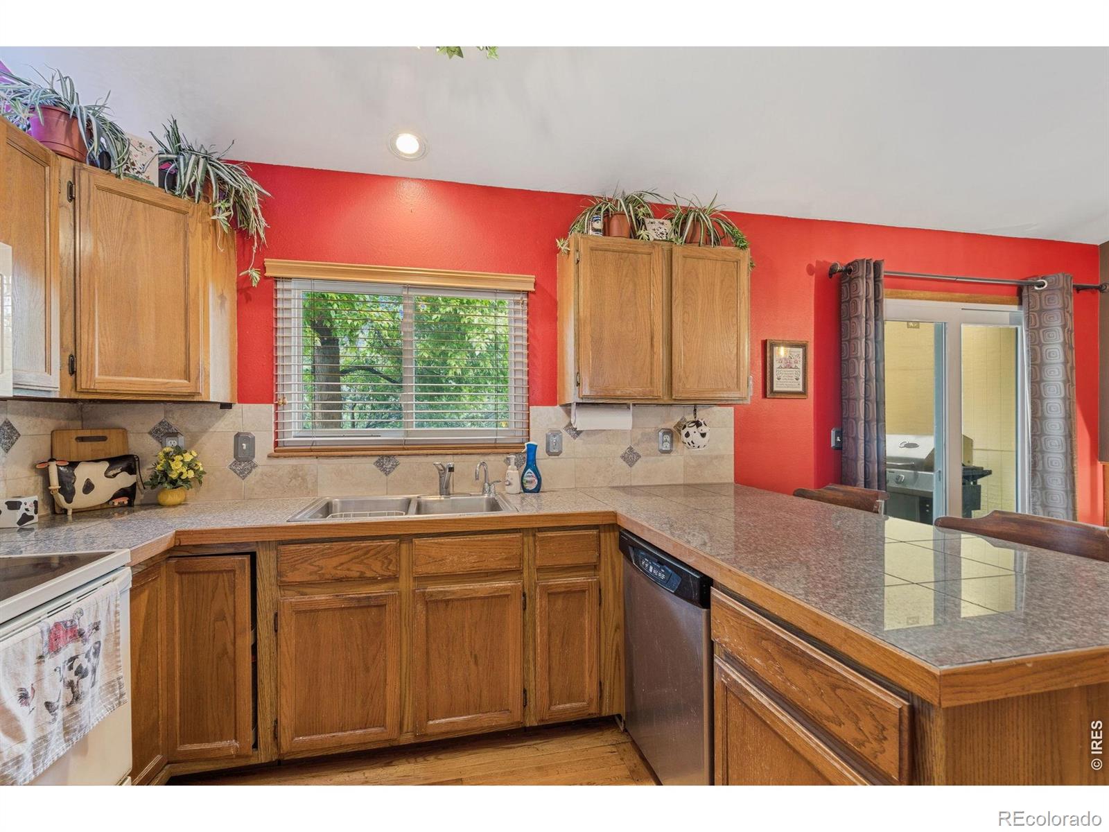 MLS Image #10 for 2956  querida street,fort collins, Colorado
