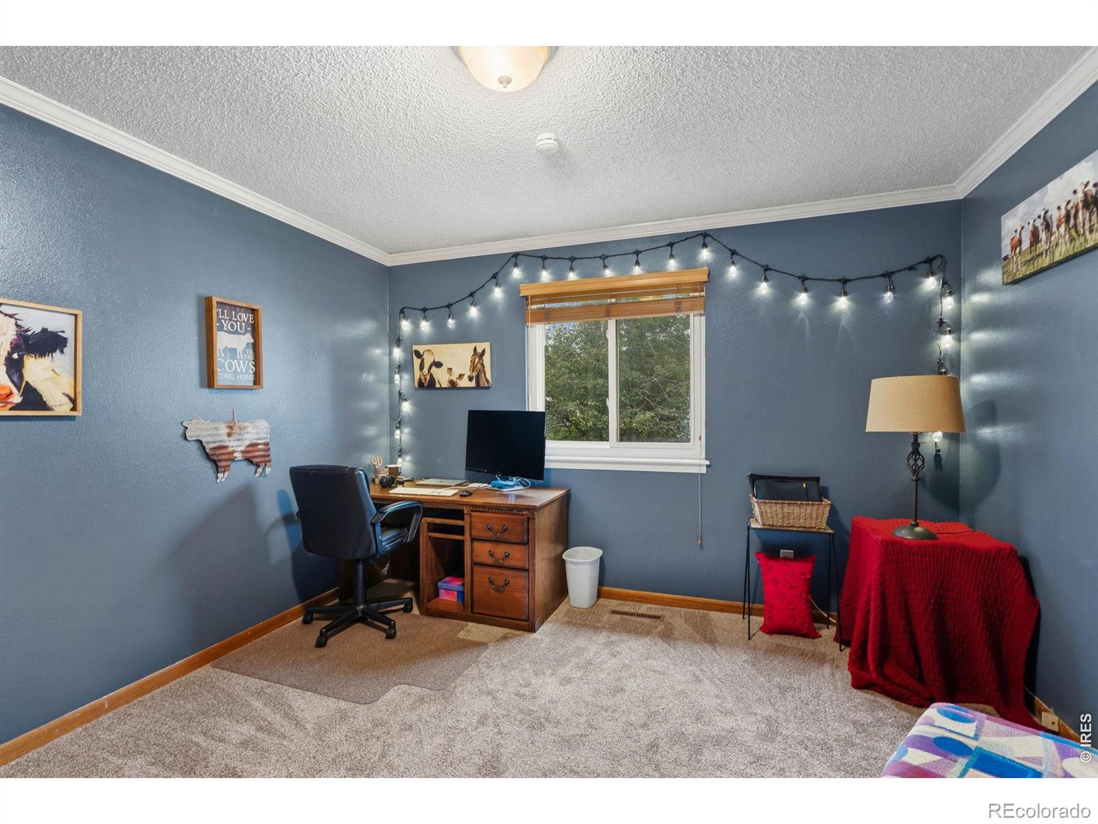 MLS Image #27 for 2956  querida street,fort collins, Colorado