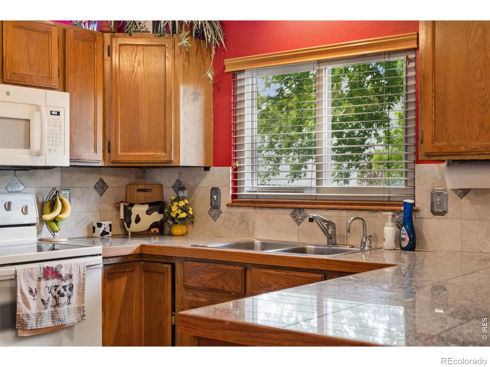 MLS Image #8 for 2956  querida street,fort collins, Colorado
