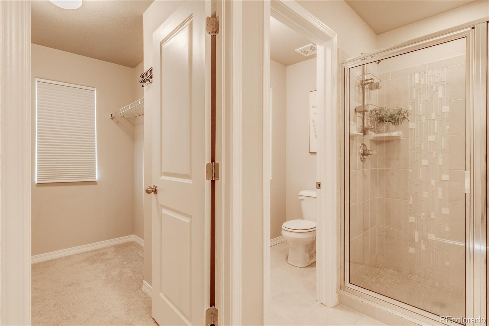 MLS Image #20 for 4608  gneiss loop,colorado springs, Colorado