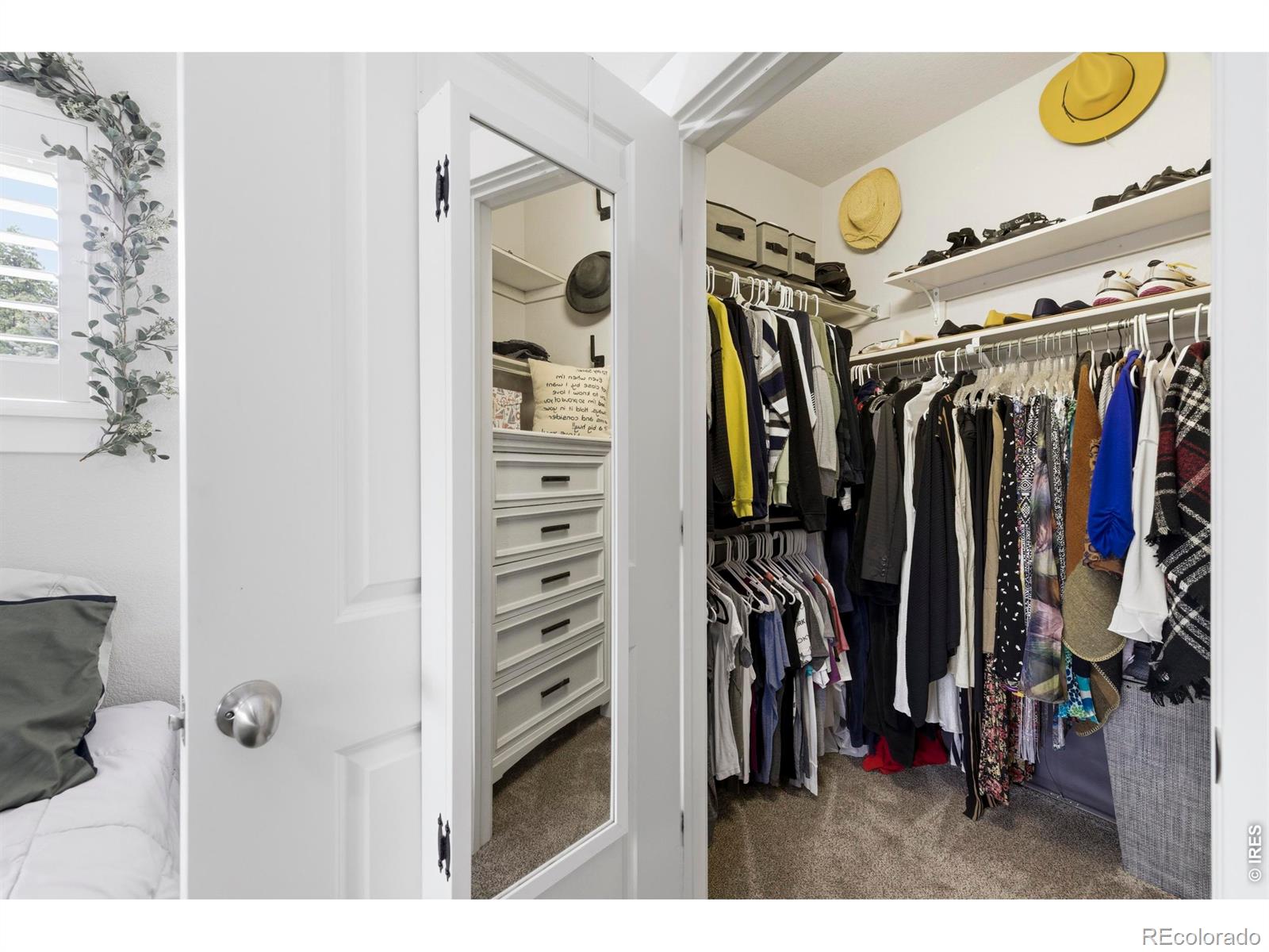 MLS Image #14 for 4642  hahns peak drive,loveland, Colorado