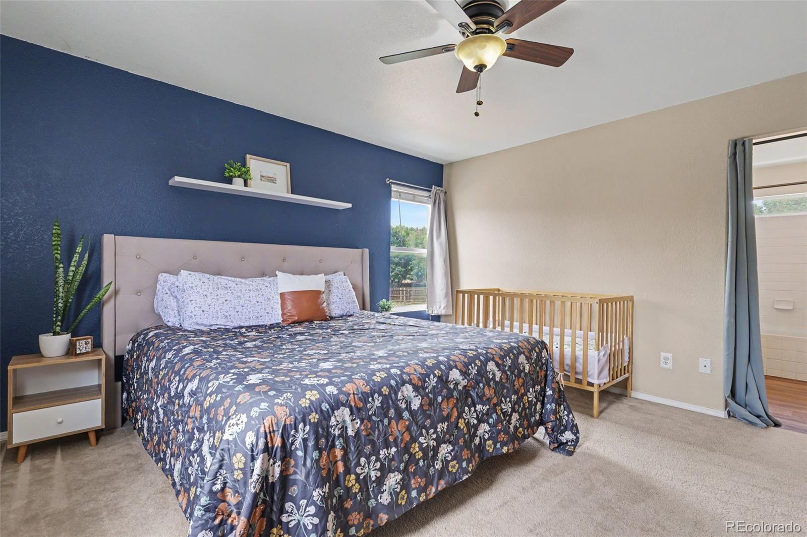 MLS Image #17 for 4072  happy jack drive,colorado springs, Colorado