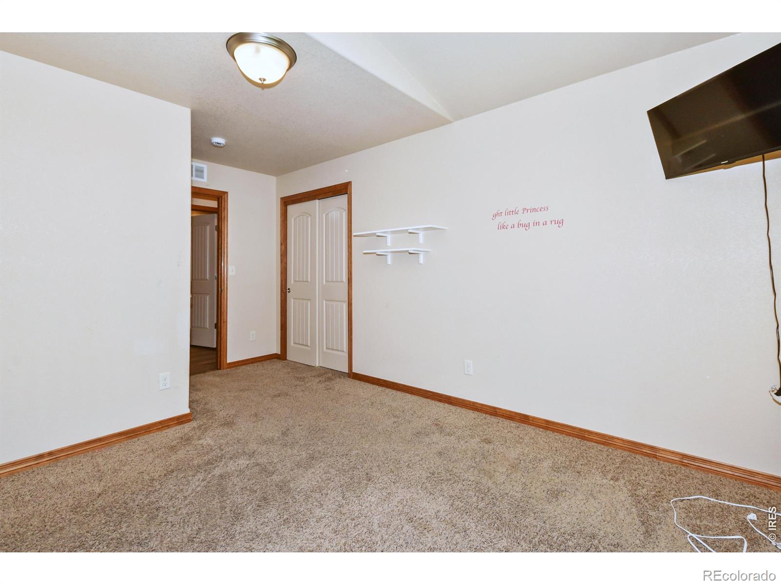 MLS Image #30 for 4479  bragg lane,wellington, Colorado