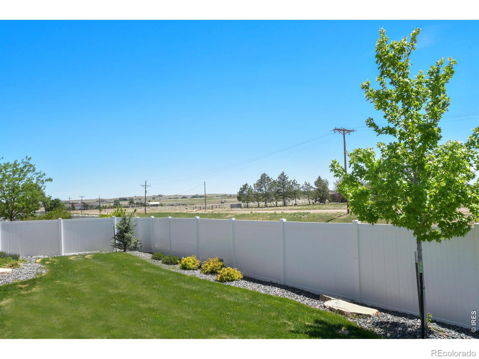 MLS Image #47 for 4479  bragg lane,wellington, Colorado