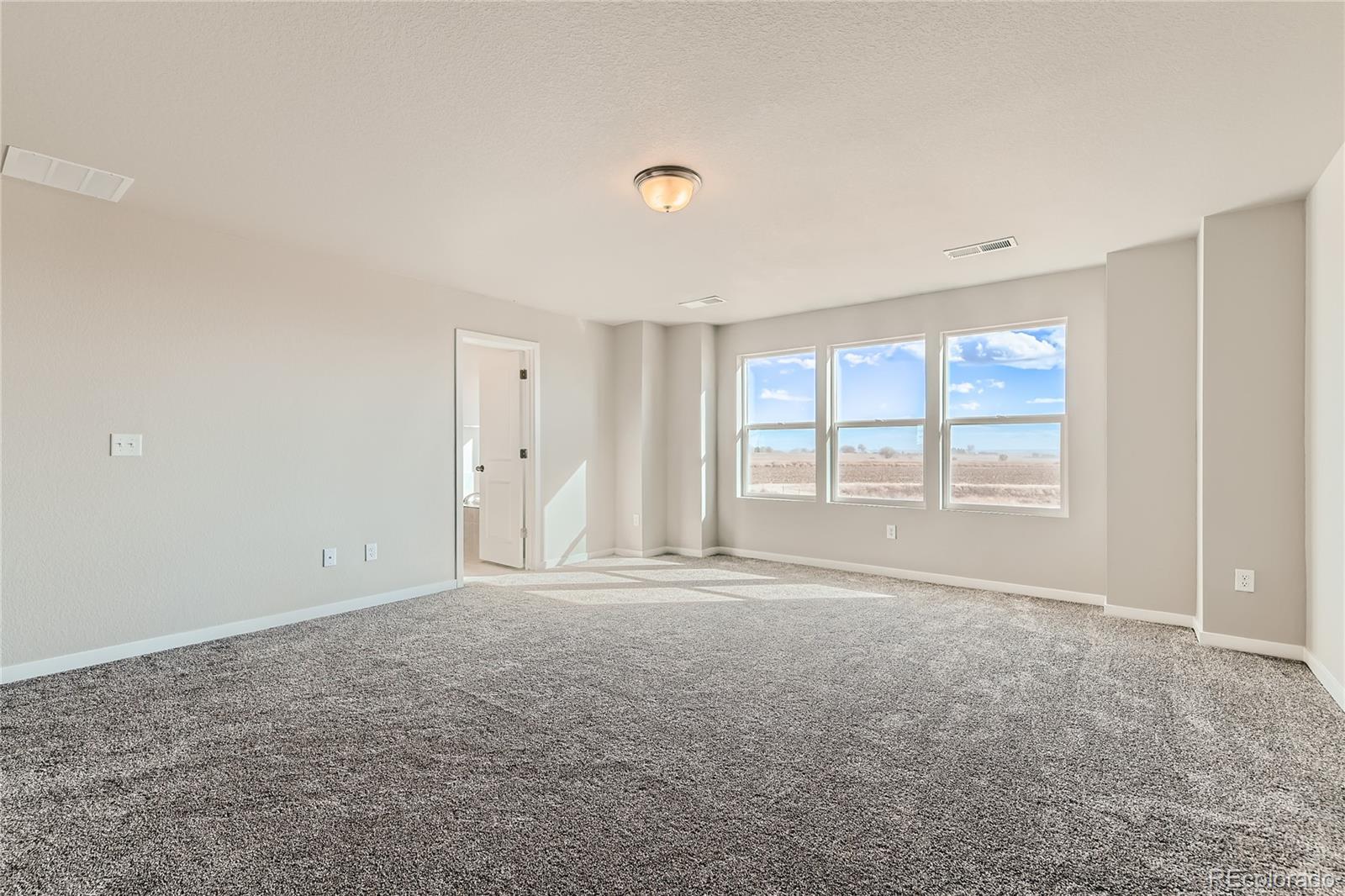 MLS Image #15 for 2344  galloway street,mead, Colorado