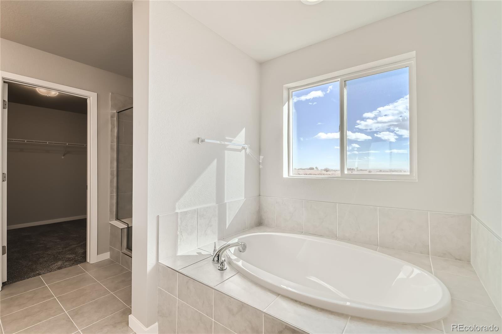 MLS Image #17 for 2344  galloway street,mead, Colorado