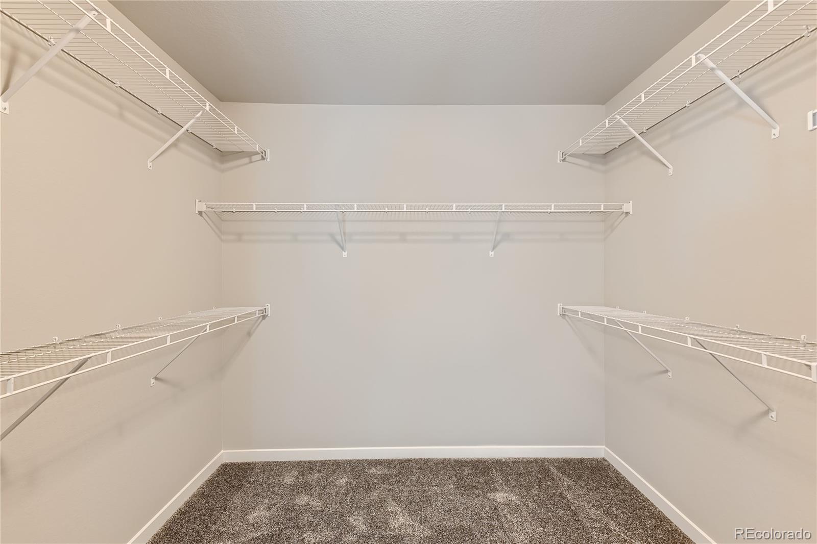 MLS Image #18 for 2344  galloway street,mead, Colorado