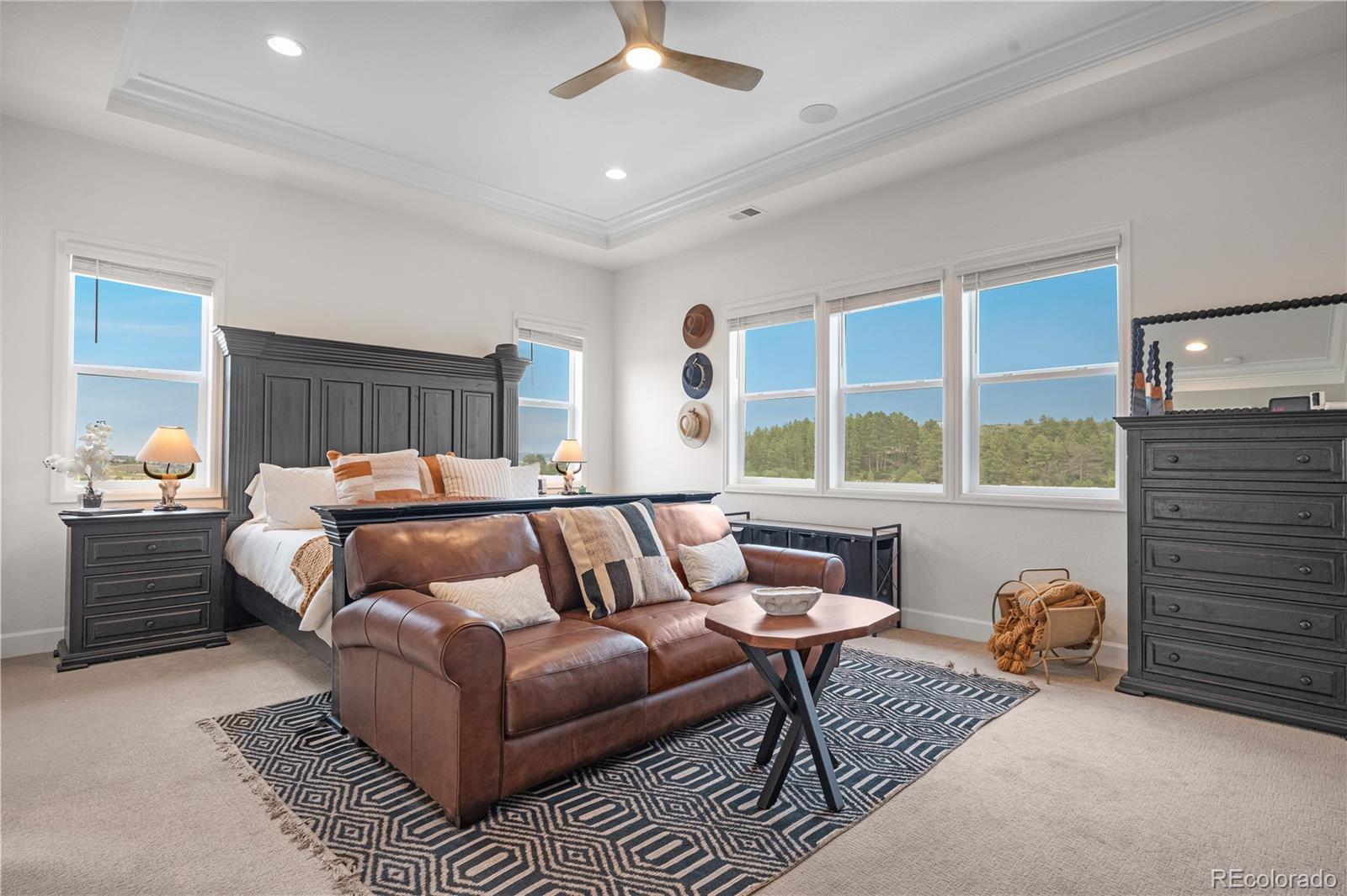 MLS Image #23 for 5598  missoula trail,castle rock, Colorado