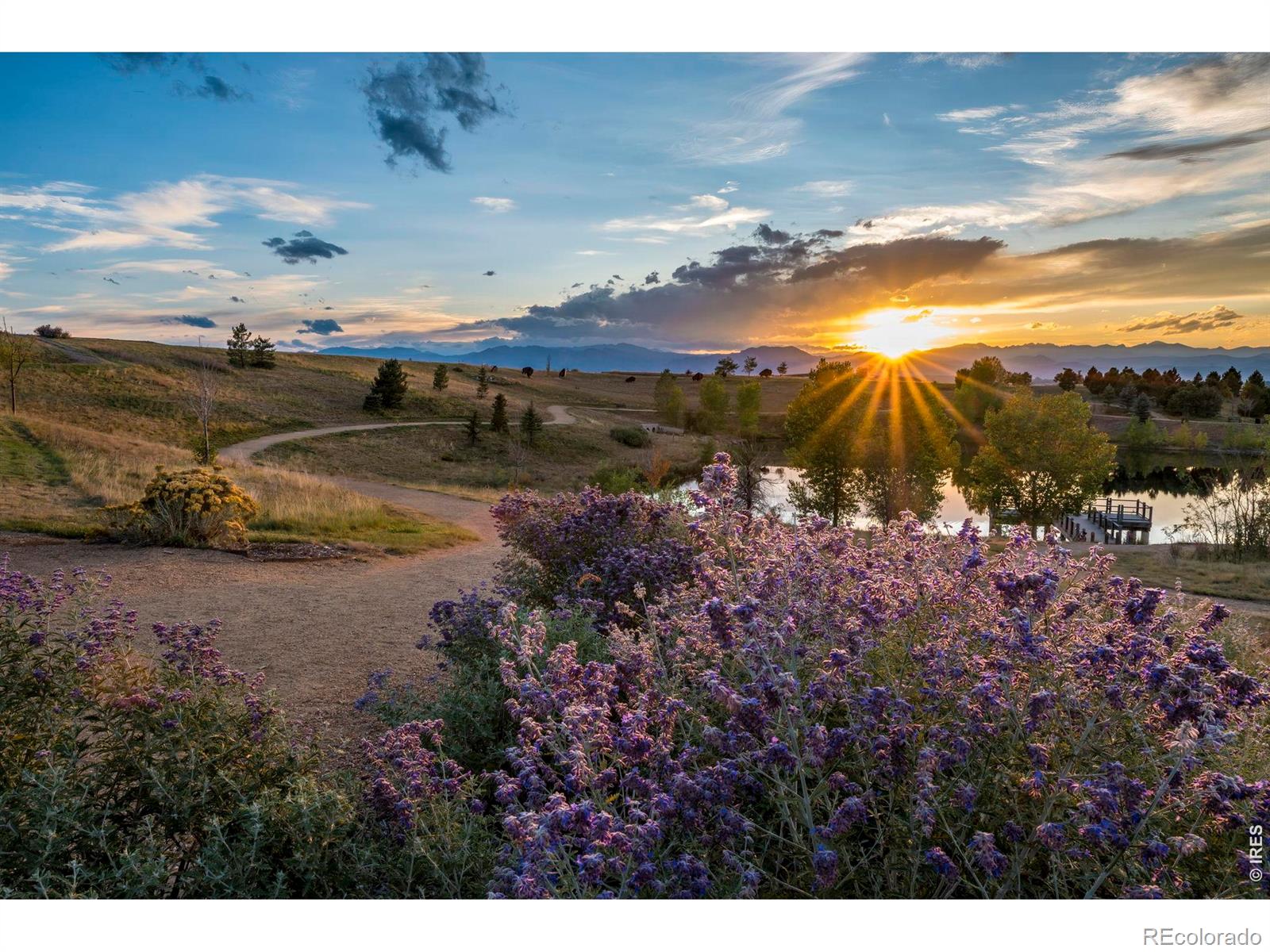 MLS Image #39 for 15947  antora peak drive,broomfield, Colorado
