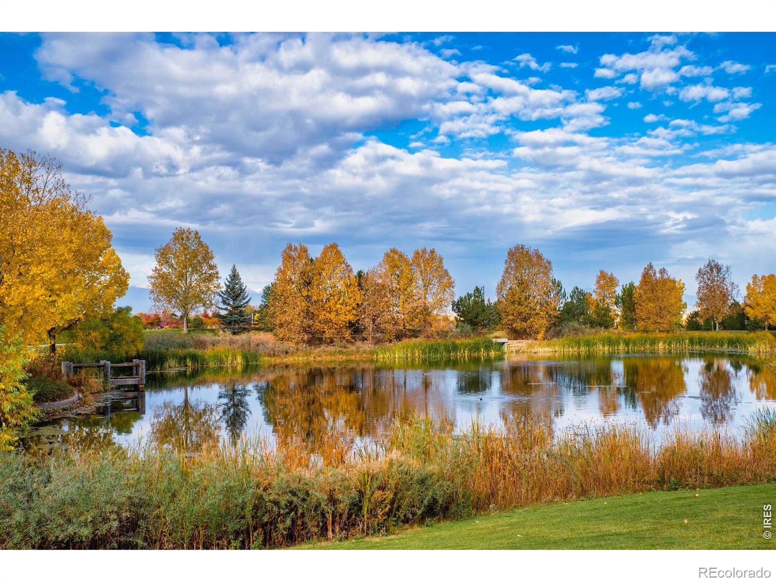 MLS Image #41 for 15947  antora peak drive,broomfield, Colorado