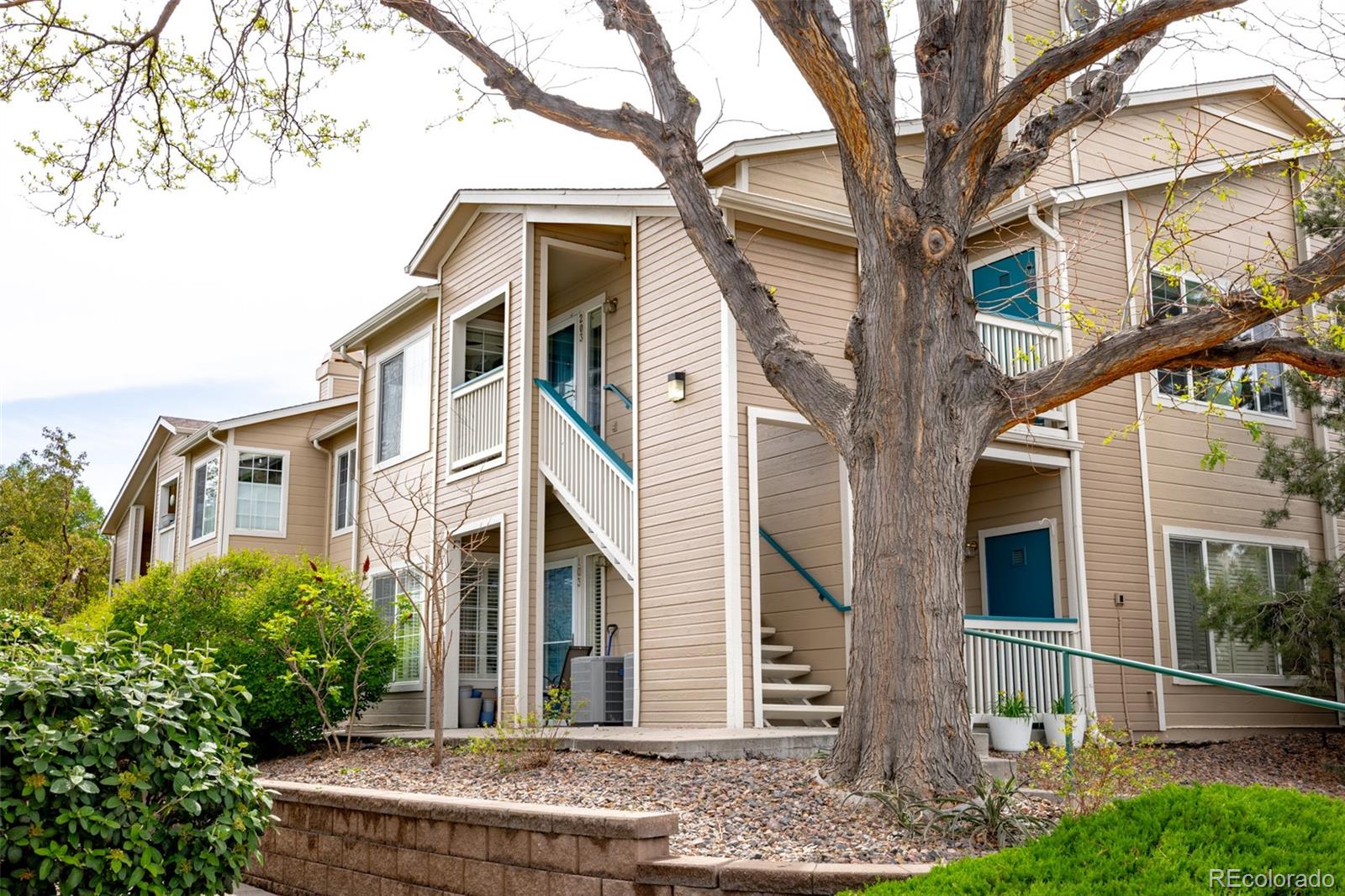 MLS Image #0 for 3847  mossy rock drive 203,highlands ranch, Colorado