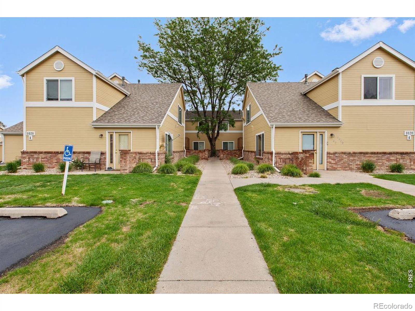 MLS Image #21 for 1020  rolland moore drive,fort collins, Colorado