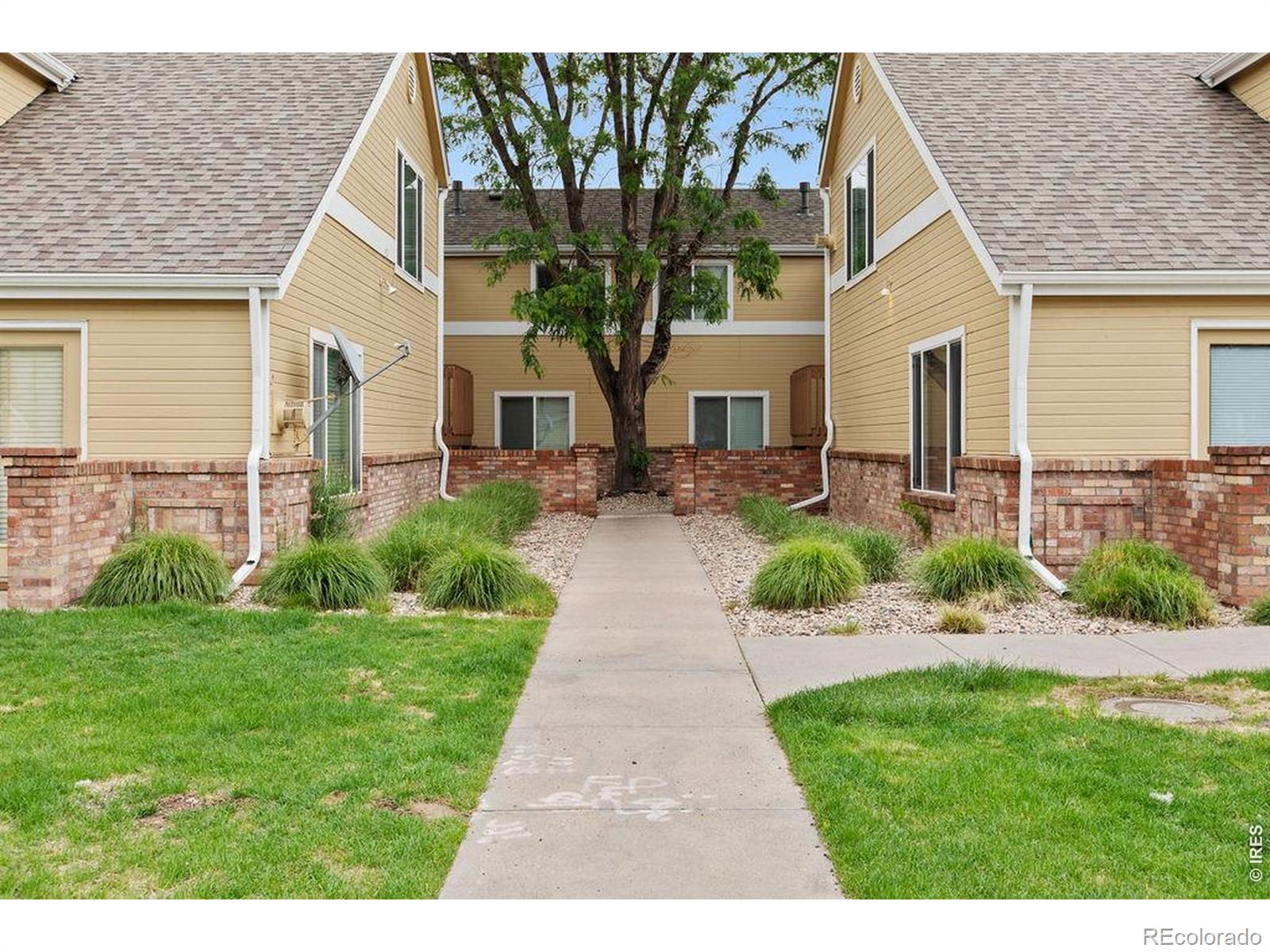 MLS Image #4 for 1020  rolland moore drive,fort collins, Colorado