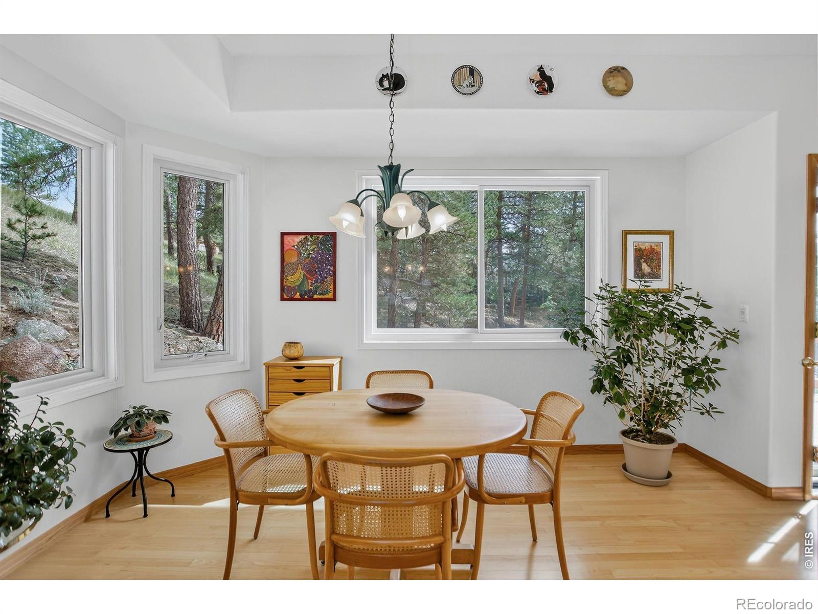 MLS Image #7 for 65  betasso road,boulder, Colorado