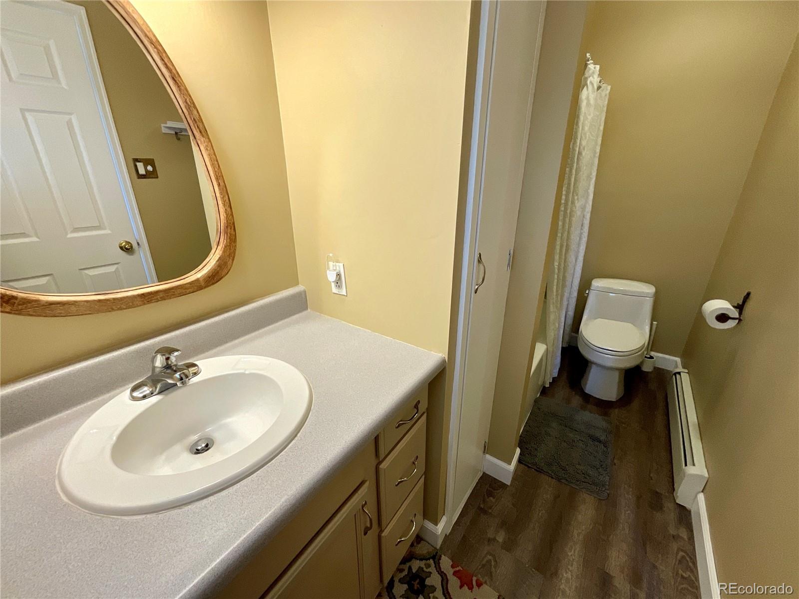 MLS Image #11 for 135  chestnut street,leadville, Colorado