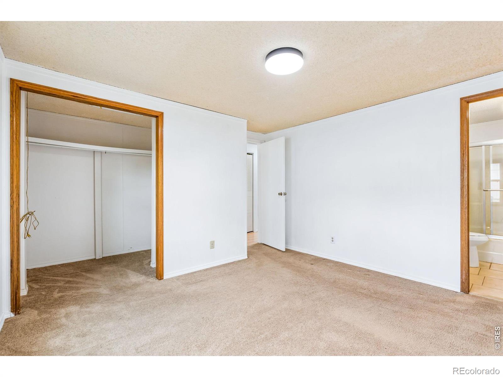 MLS Image #13 for 4130  hayes avenue,wellington, Colorado
