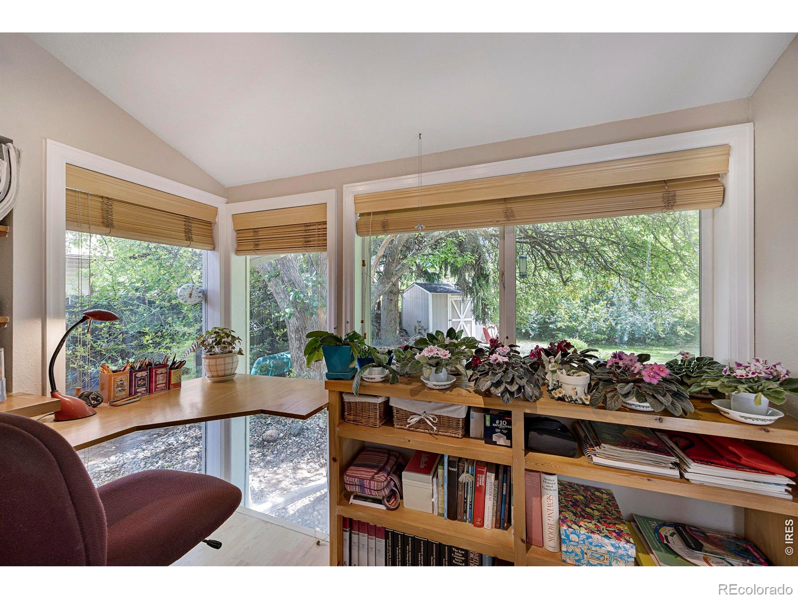 MLS Image #20 for 2404  constitution avenue,fort collins, Colorado