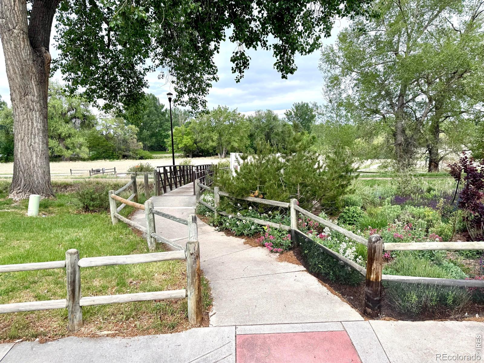 MLS Image #40 for 2404  constitution avenue,fort collins, Colorado